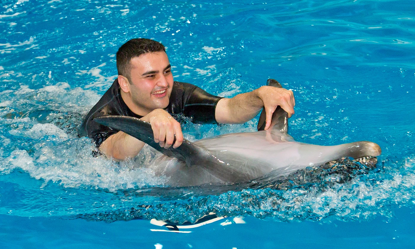 Swim With Dolphins Dubai