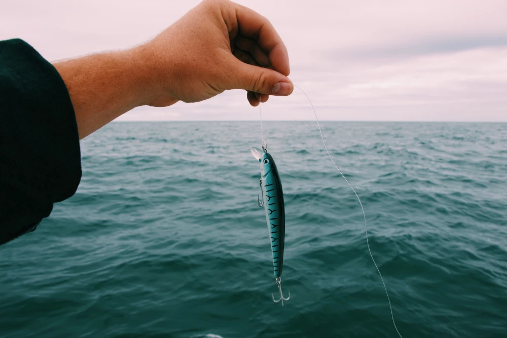 Deep Sea Fishing Deep Sea Fishing